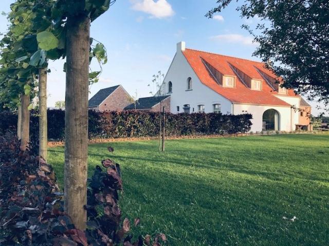 Merksplas B&B Biesvenhof מראה חיצוני תמונה