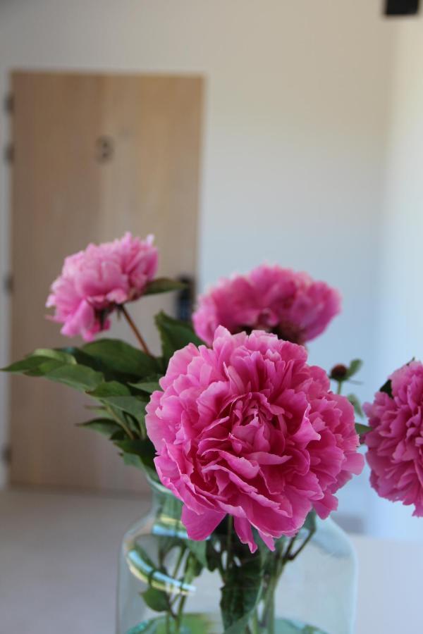 Merksplas B&B Biesvenhof מראה חיצוני תמונה